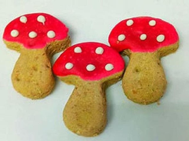 GALLETAS SETAS