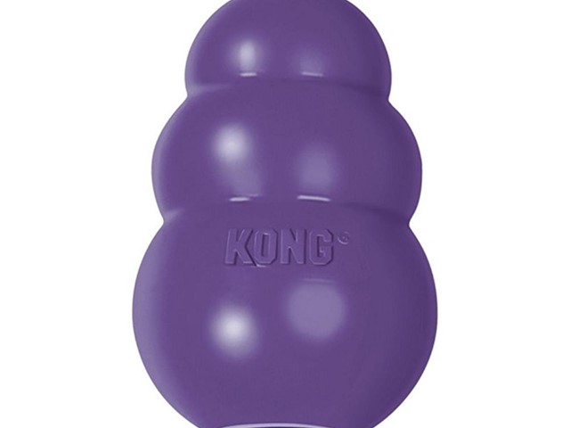 KONG SENIOR