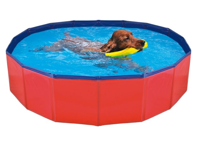 PISCINA PARA PERROS