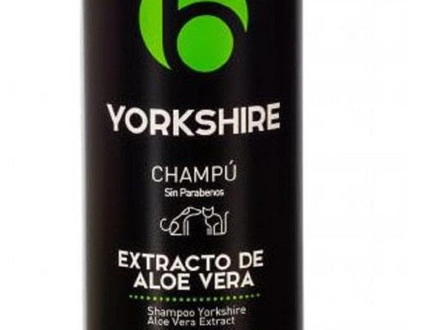 SHAMPOO YORKSHIRE